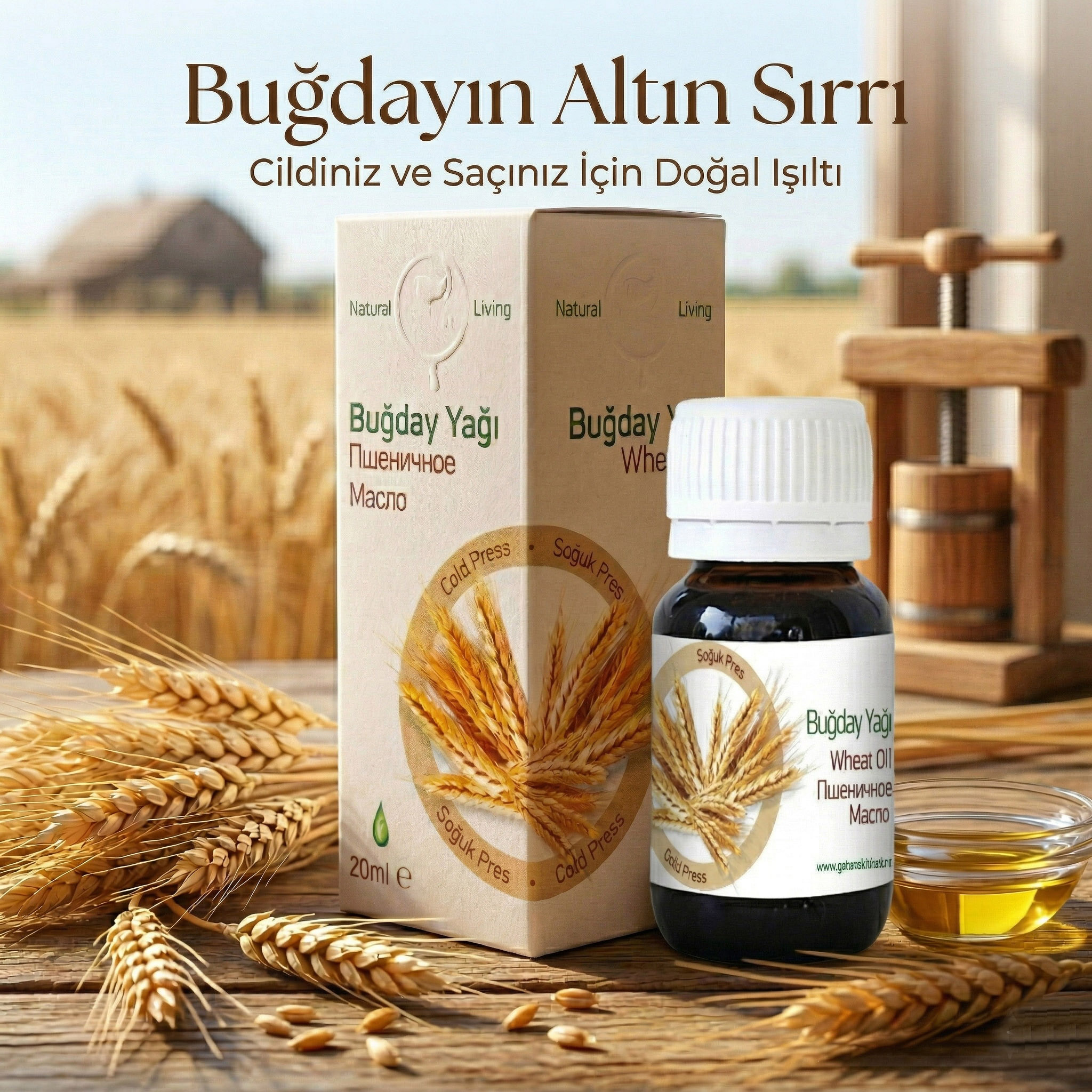 Buğdayın Altın Sırrı